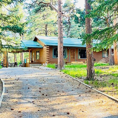 Cozy Cabin On The Creek Colorado City Ngoại thất bức ảnh